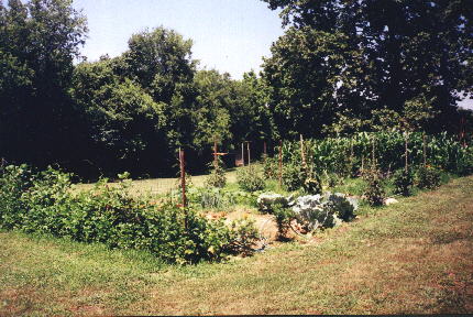 philGarden2.jpg (45967 bytes)