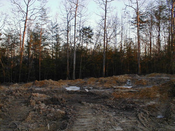 rawland.jpg (127252 bytes)